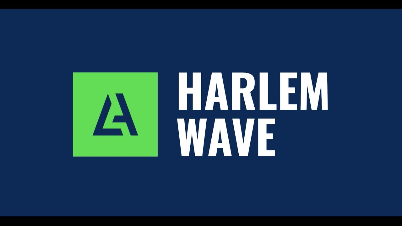 kitesurfing equipment Harlem Wave V2 - Wave/Foil/Freeride Kite