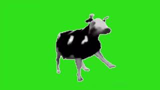 Dancing polish cow meme green screen