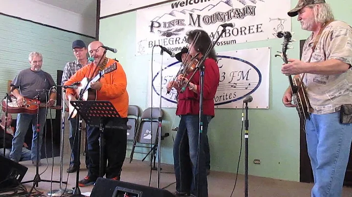 ORANGE BLOSSOM SPECIAL by Sharon Bounds & Glenn To...