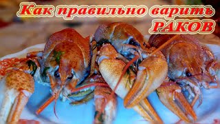 Самый простой рецепт приготовления раков Самый простой рецепт приготовления раков