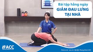 BÀI TẬP GIẢM ĐAU THẮT LƯNG TẠI NHÀ - 10' MỖI NGÀY CÙNG ACC