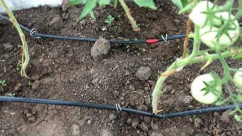 Автоматический полив ардуино