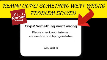 How To Solve Remini App "Oops! Something went wrong. Please check your internet connection" Problem