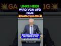 💥AFDler macht HEIDI WÜTEND⚡ #afd #cdu #aliceweidel #dielinke #2026 #shorts #politik #merz #cdu