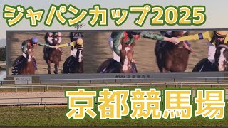 ジャパンカップ2025 京都競馬場の様子 カランダガン(Calandagan) Japan