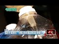5月早知中聯毒油卻「拒收」？ 台糖：非通報義務人