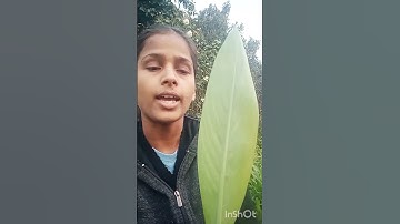 Difference between reticulate venation & parallel venation  🙋🏻📔👩‍💼🙂 # Class 11th & 12th # Biology