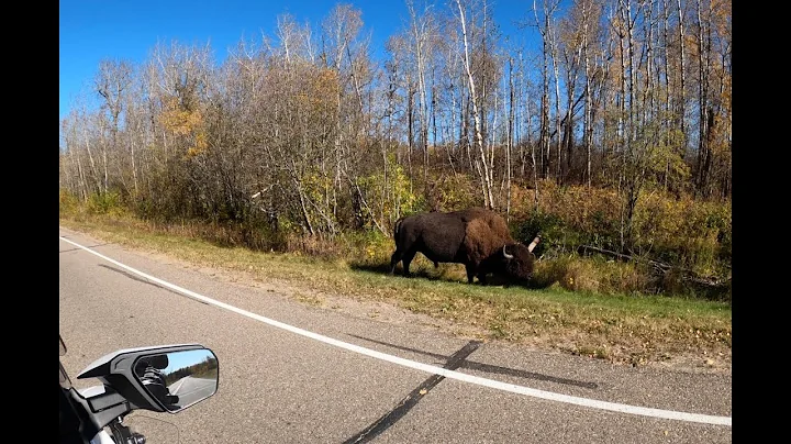 Day trip to Elk Island National Park
