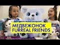 Наконец-то!! Интерактивный медвежонок FurReal Friends