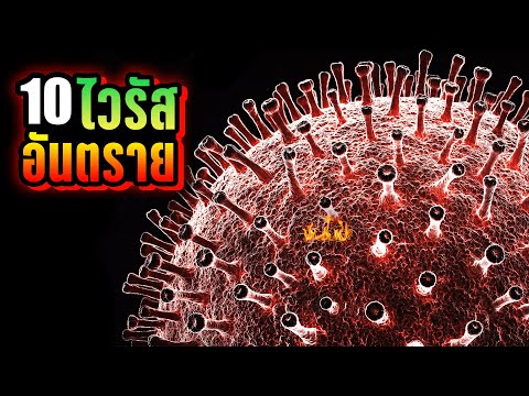 10 เชื้อไวรัส (Virus) อันตราย ที่คุณอาจไม่เคยรู้ ~ LUPAS