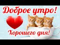 С ДОБРЫМ УТРОМ СУББОТА! ОЧЕНЬ КРАСИВОЕ ПОЖЕЛАНИЕ! ДОБРОЕ УТРО ХОРОШЕГО ДНЯ! Музыкальная открытка