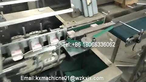Automatic Soap Cartoner Machine