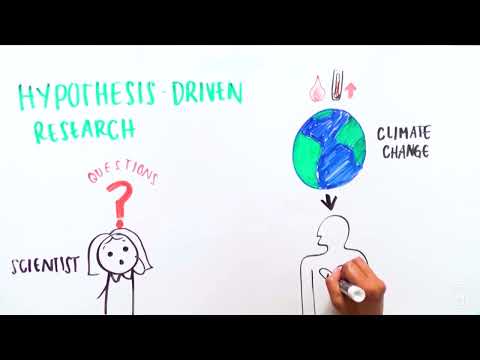 Hypothesis-Driven Research Overview