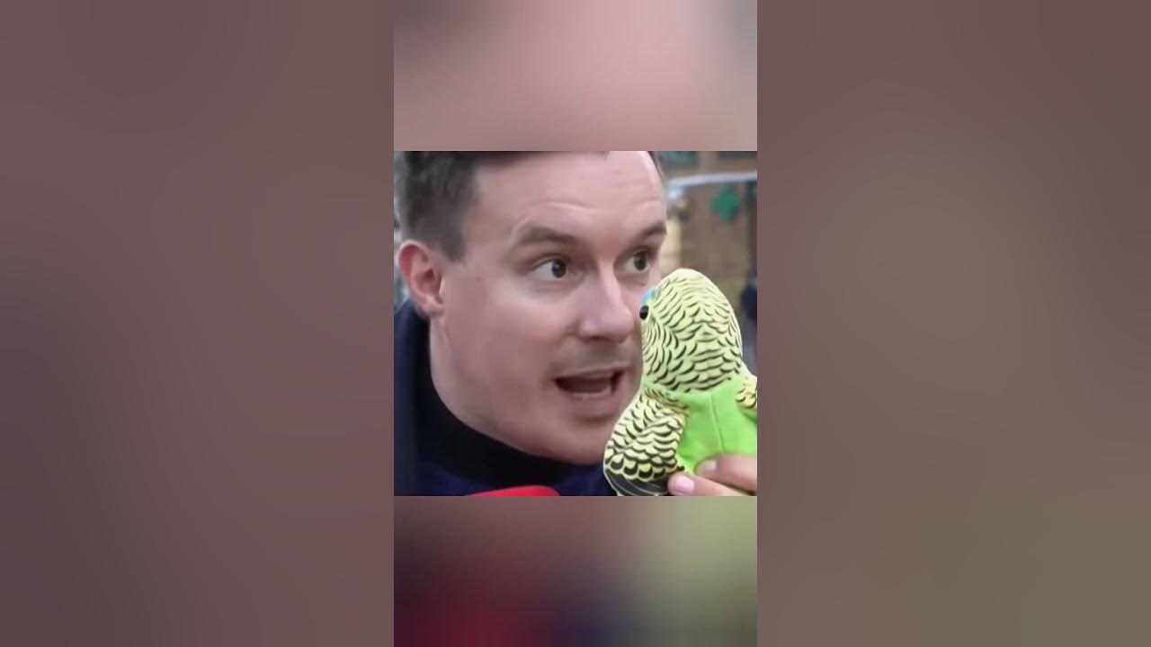 WAS REIMT SICH AUF, ICH WÜRDE GERN MIT DER WURST NACH DEM SCHINKEN WERFEN? YouTube