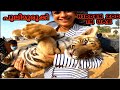 Wild Life Park | Umm Al Quwain Zoo | Hug a Cub & Orangutan | Must visit place in UAE | Dubai Zoo