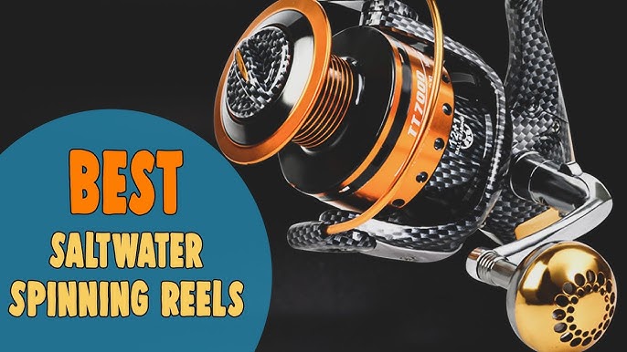 Best Fishing Reels for The Money – Ranked and Reviewed! 