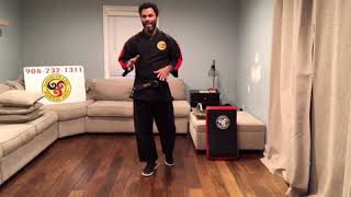 Assignment #7 Strength Training Exercises