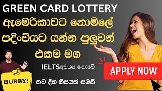 US Green Card Lottery Application Sinhala 2023 2024 2025 අයදුම්පත පුරවමු