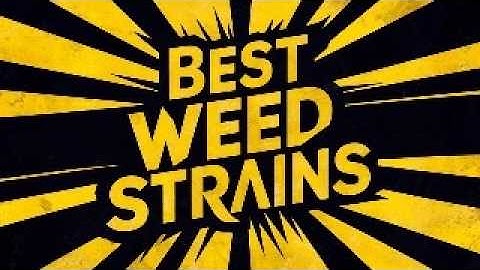The Best Marijuana Strains for Creativity and Productivity | Derek Murphy