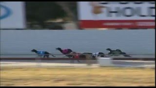 Mandurah-02022016-Race-2