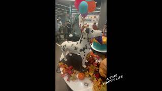 Citycakes award winning cake creations! screenshot 5