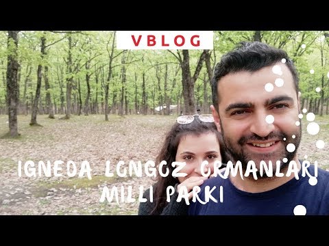 İğneada Longoz Ormanları Milli Parkı | Nasıl Gidilir? | Nasıl Bir Yer? | Gezelim.me