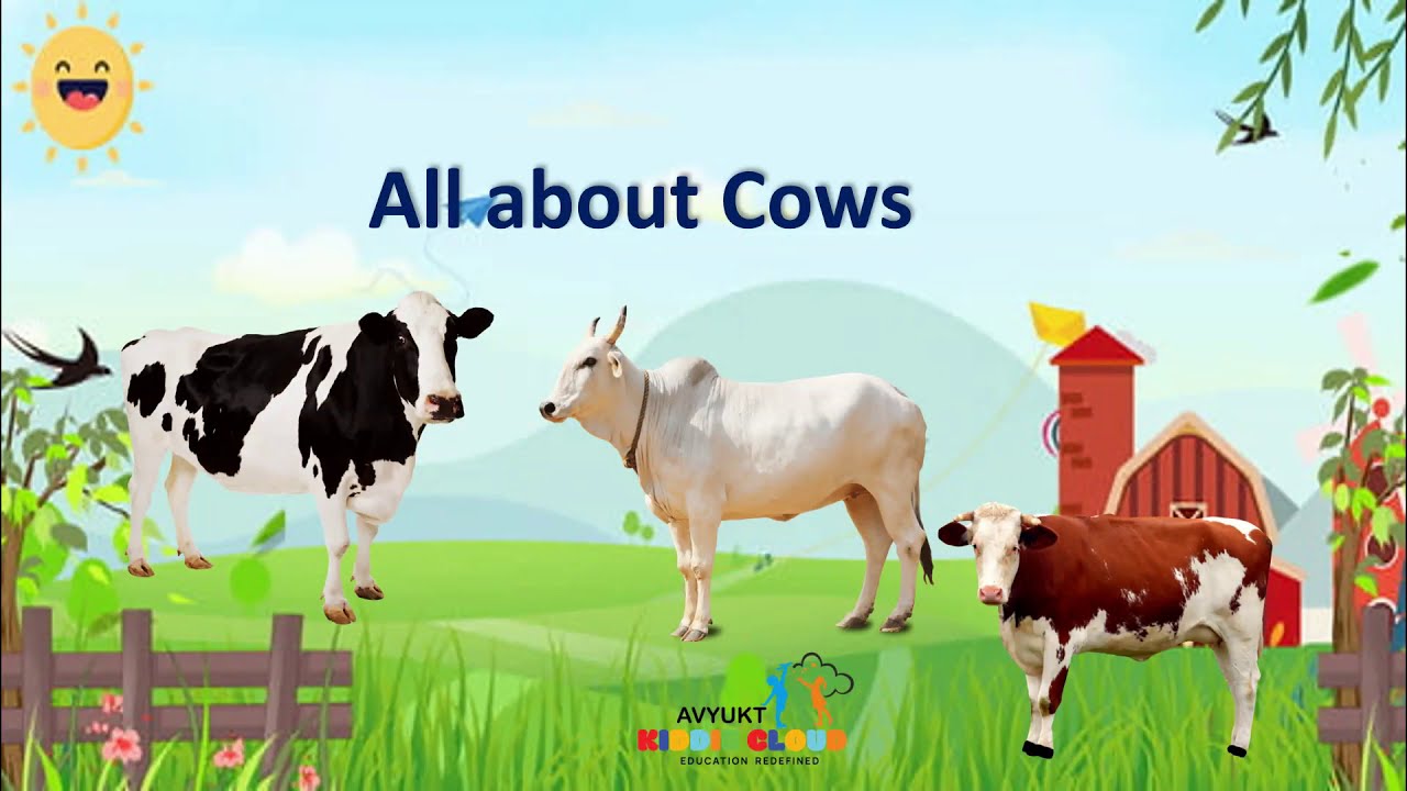 my favourite animal cow essay in marathi
