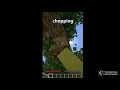 Minecraft but,if I stop singing believer the video ends