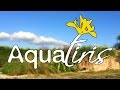 Aquatiris | Présentation Officielle 2015
