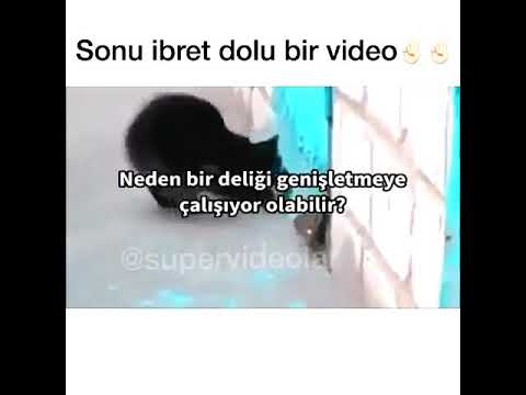 İbret dolu bir video