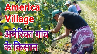 American village farming in Hindi