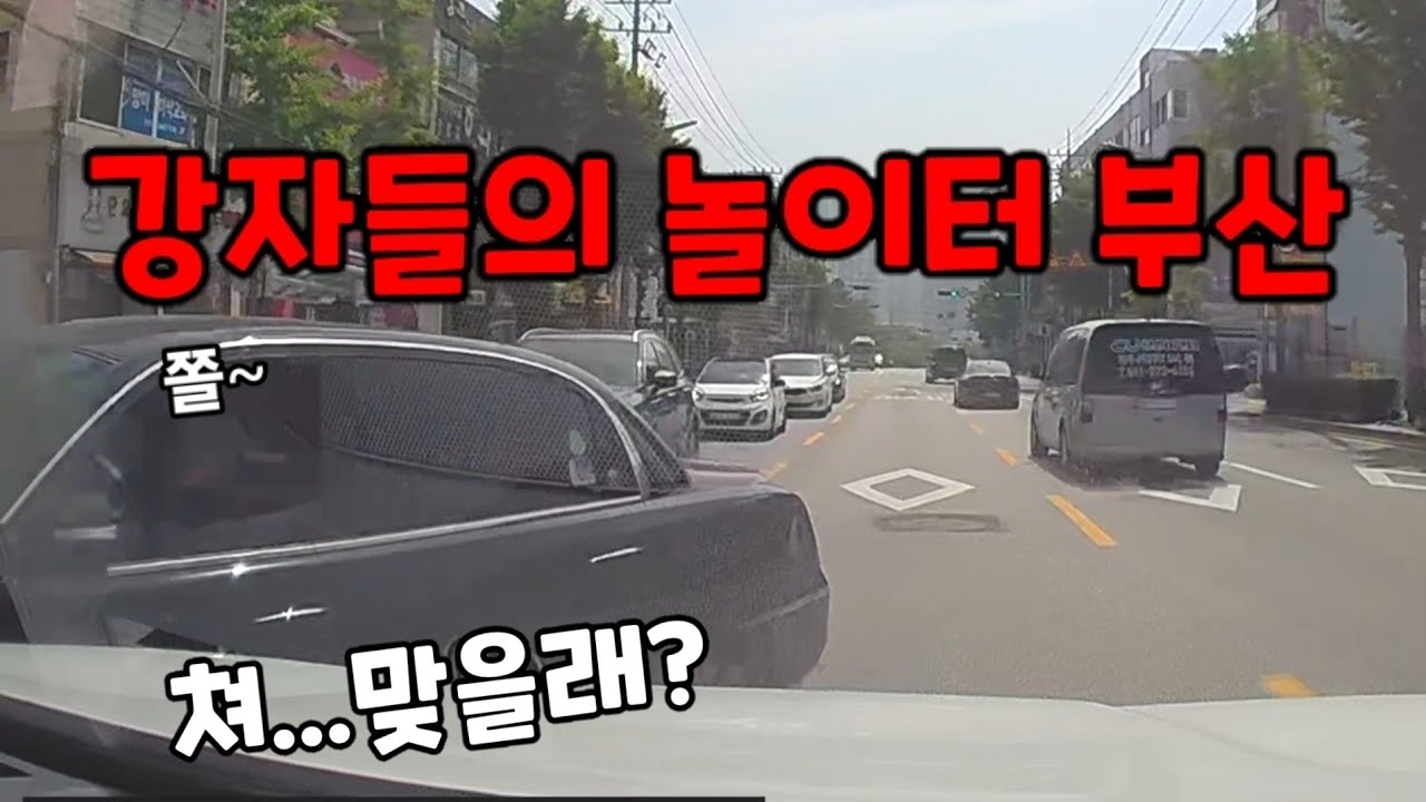 내렸으면 싸울뻔.... 2025 최신블박영상 도참시 블랙박스