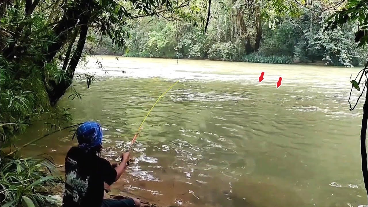 Rame-Nya..!! mancing baung di sungai besar pakai umpan ini