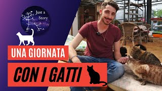 andiamo a conoscere I GATTI del GATTILE INTERCOMUNALE R.A.F