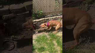 Draco On Offseason Doing Some Work