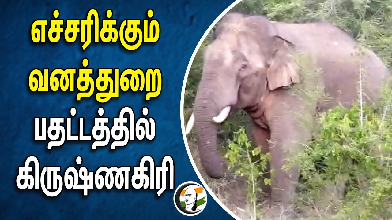 ⁣எச்சரிக்கும் வனத்துறை.. பதட்டத்தில் கிருஷ்ணகிரி | Krishnagiri | Forest department