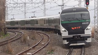 E257系5000番台 OM-92編成 特急 踊り子59号 根府川駅通過