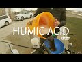 First Spray of 2020. HUMIC ACID