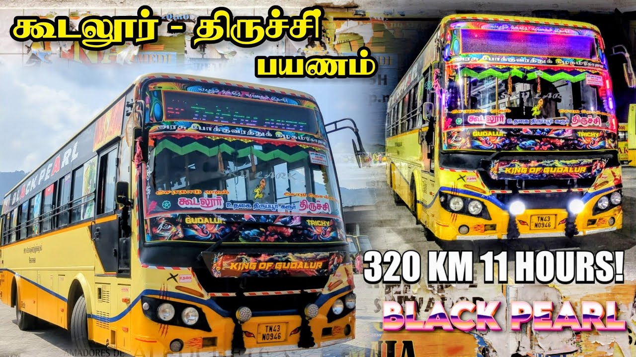 320 km 11 மணி நேரமா 🤯!!GUDALUR TO TRICHY FAMOUS TNSTC BUS | TNSTC BLACK PEARLS REVIEW|பல நாள் கனவு🥹 