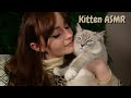 ASMR Kitten Update - 5 Month Old Ragdolls  *Soft Spoken*