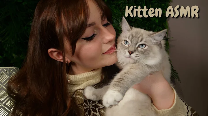 ASMR Kitten Update - 5 Month Old Ragdolls  *Soft S...