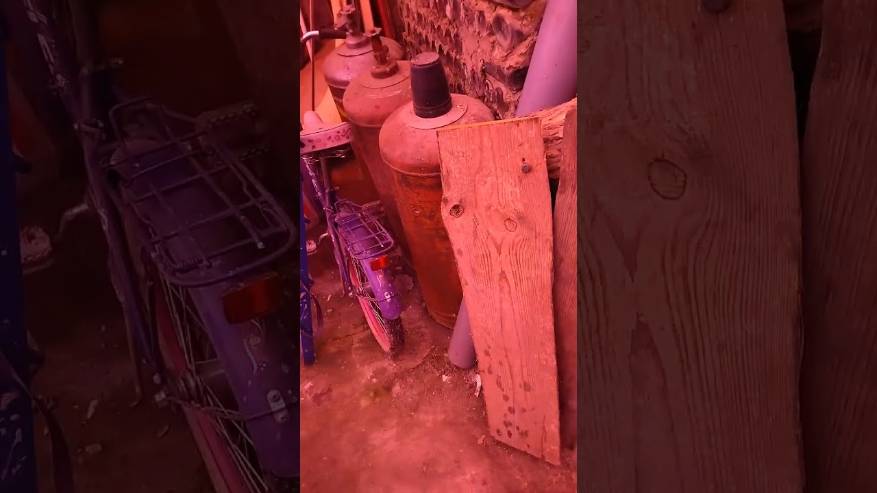 Пчеловодам продают всё дороже 