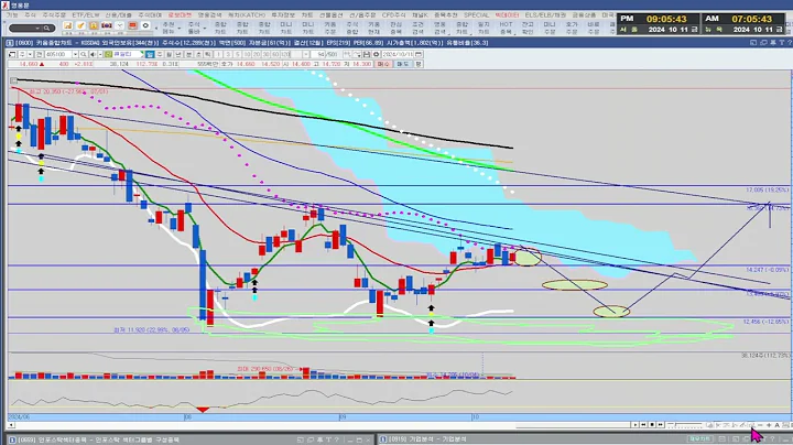 #큐알티#  종목분석[차트스토리-2024-10-11]