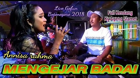 MENGEJAR BADAI [ CIPT. NANANG SUWITO ] -ANISA RAHMA-KENDANG CAM. CAK MET NEW PALLAPA LIVE GOFUN 2018
