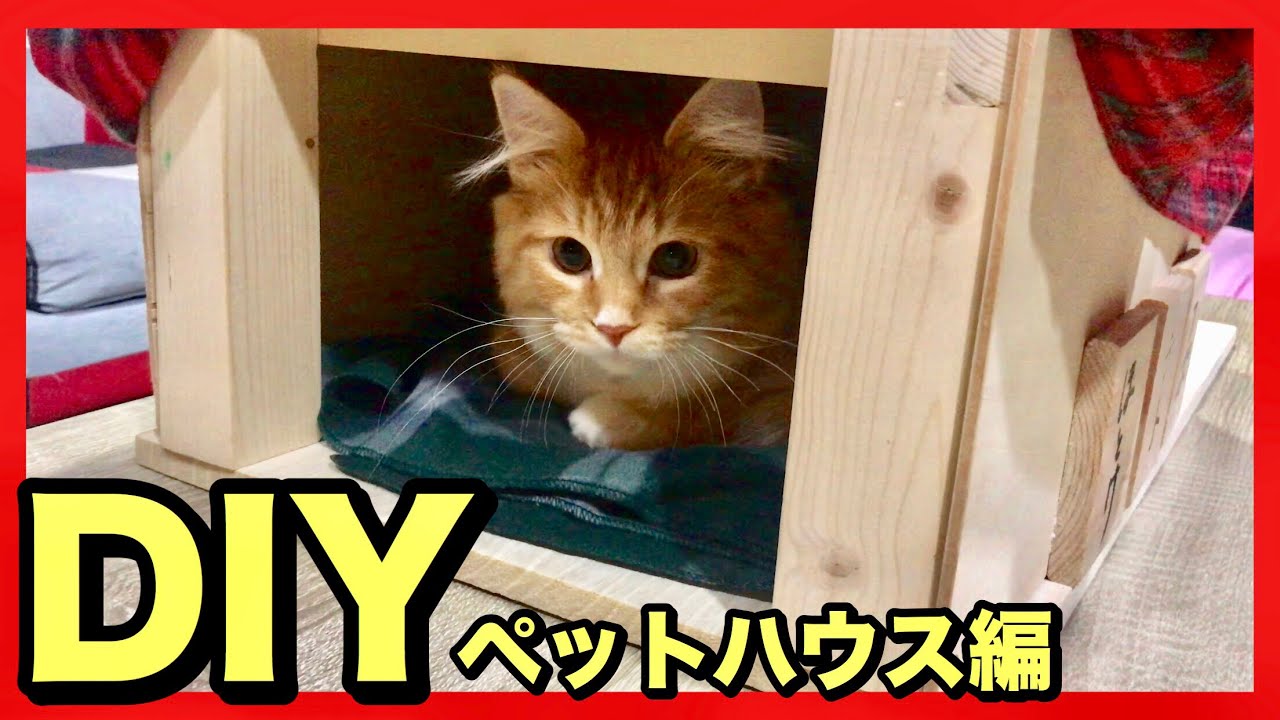 DIY] It's so easy! I tried making a pet house with a DIY project