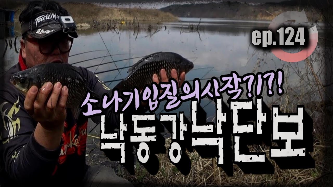 [ep.124] 갑자기 이런다고?? 낚시줄 우는 소리 가득했던 낙단보!! #낙동강 #낙단보 #분황리 #낙동야구장