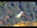 Shrimp in the Buley Rockhole waterfall / Креветка в водопаде Були Рокхол