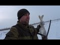 Успешная охота на зайцев в одиночку ▶ ДОГОНЯЙ! Канал "Охот ТВ"
