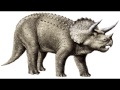 Did Humans Walk the Earth with Dinosaurs? Triceratops Horn Dated to 33,500 Years