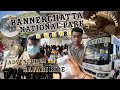 Bannerghatta national park   jungle safari  adventures  street freak tamizha  zoo  explore